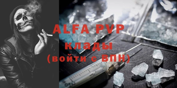 хмурый Магас