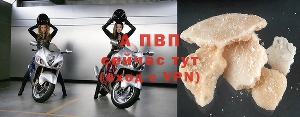 сатива Мегион