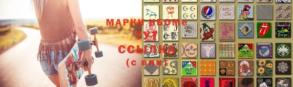 сатива Мегион