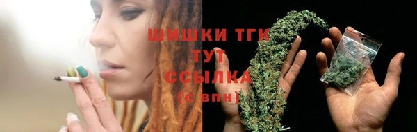 сатива Мегион