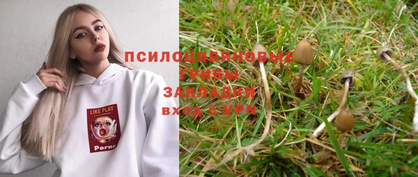 a pvp Медногорск