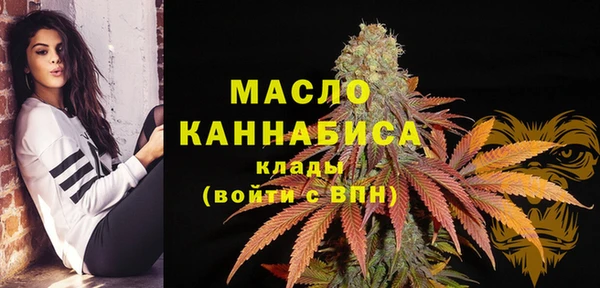 хмурый Магас