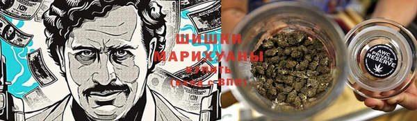 сатива Мегион
