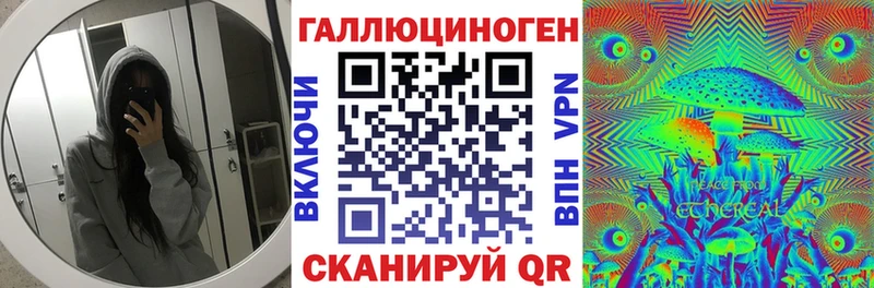 Псилоцибиновые грибы Psilocybine cubensis  Оленегорск 